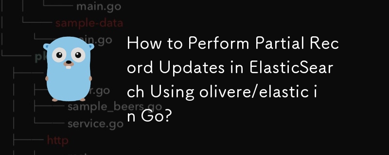 How to Perform Partial Record Updates in ElasticSearch Using olivere/elastic in Go?