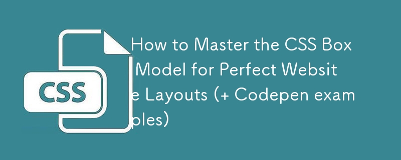 How to Master the CSS Box Model for Perfect Website Layouts (  Codepen examples)