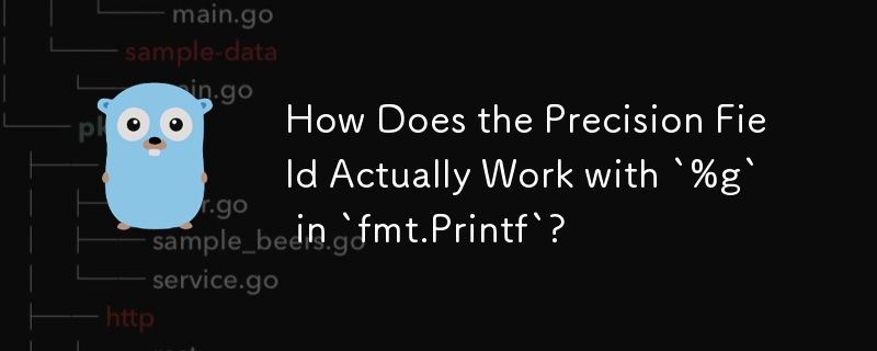 How Does the Precision Field Actually Work with `%g` in `fmt.Printf`? 
