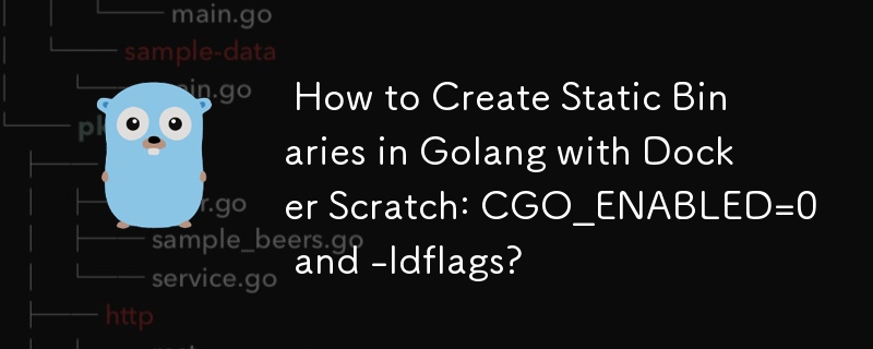  How to Create Static Binaries in Golang with Docker Scratch: CGO_ENABLED=0 and -ldflags? 
