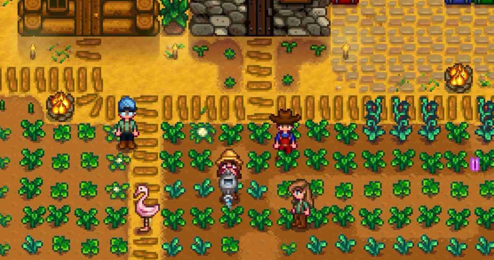 Stardew Valley: How To Play Local Co-Op Multiplayer On Every Platform