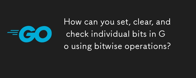 How can you set, clear, and check individual bits in Go using bitwise operations? 
