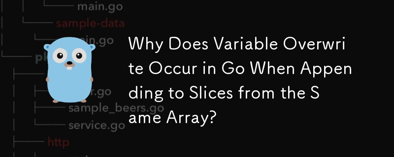 Why Does Variable Overwrite Occur in Go When Appending to Slices from the Same Array?