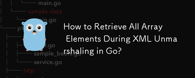 How to Retrieve All Array Elements During XML Unmarshaling in Go?