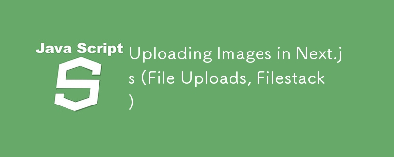 Uploading Images in Next.js (File Uploads, Filestack)