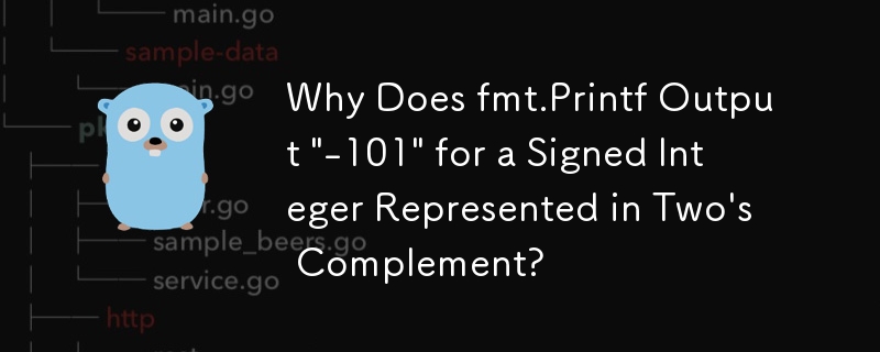 Why Does fmt.Printf Output \