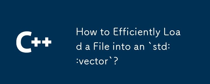 How to Efficiently Load a File into an `std::vector`? 
