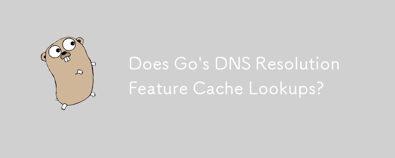 Does Go\'s DNS Resolution Feature Cache Lookups? 
