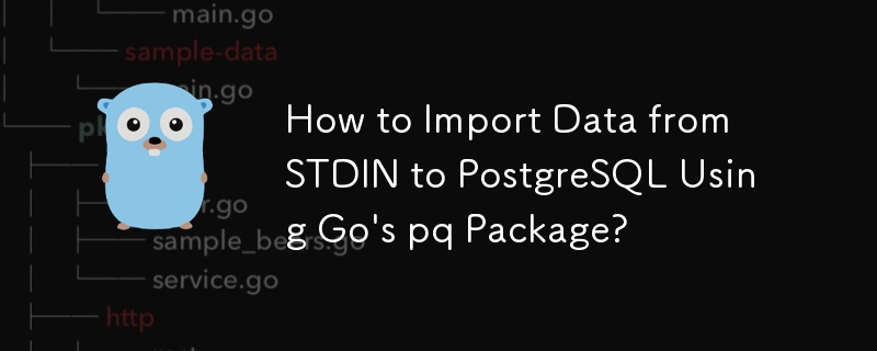 How to Import Data from STDIN to PostgreSQL Using Go\'s pq Package?